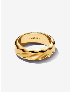 Anillo Banda Ancha Ondulada 2