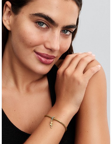 Charm Colgante Caballito de Mar