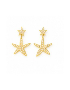 Pendiente Plata Chapada