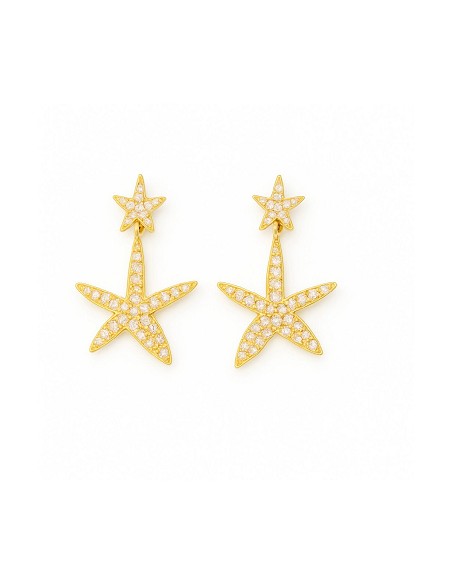 Pendiente Plata Chapada