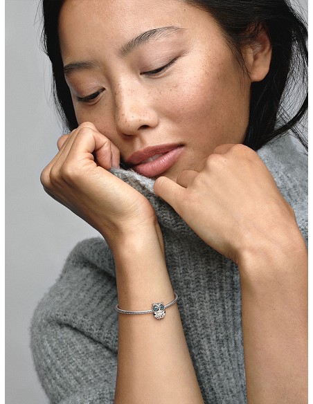 Charmm Búho Ojos Azules