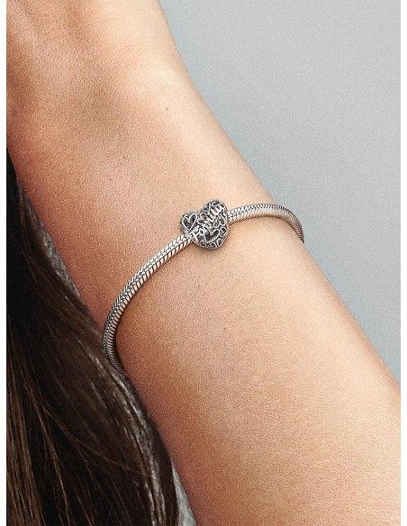 Charm Corazón Family